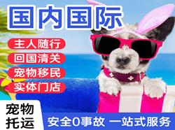 平潭机场快递国际宠物托运 【国